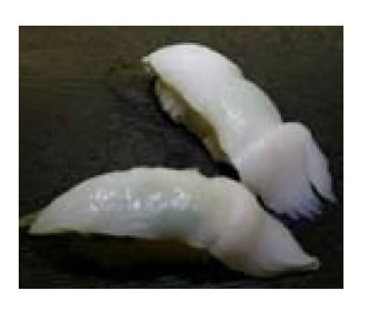 Ns3 Squid Ika乌贼